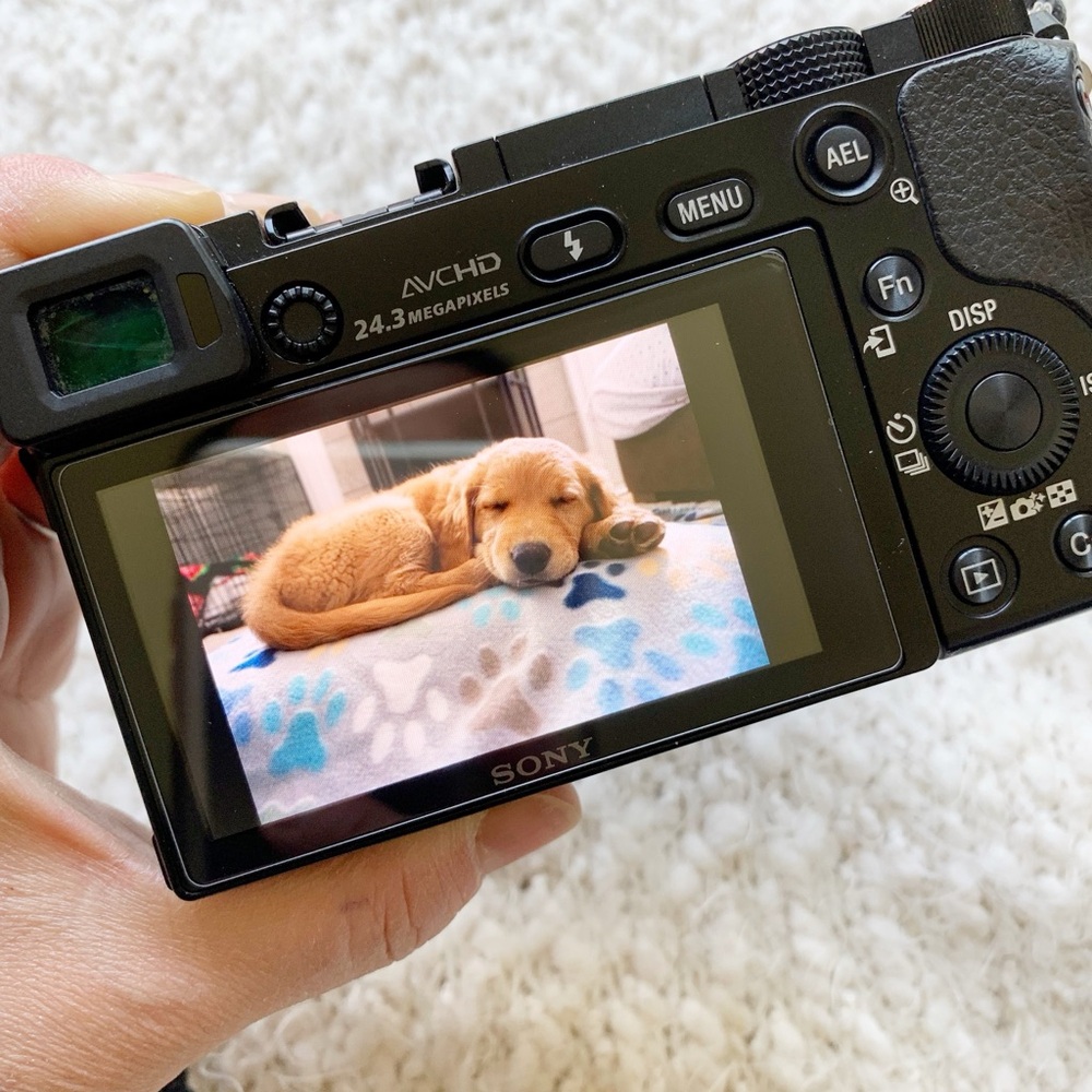 Sony a6000 Black